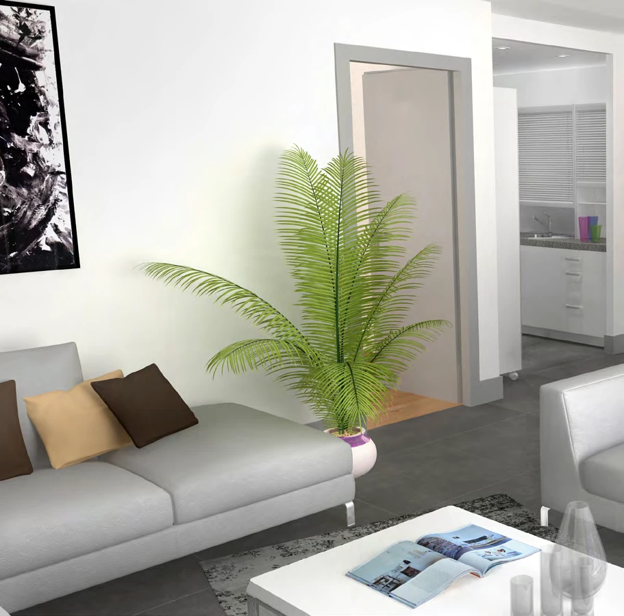 Interior living area and daylight openings